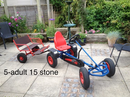 Berg classic kart age - go,